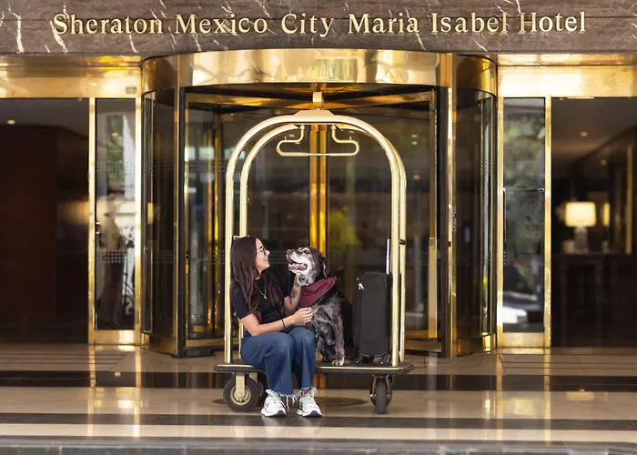 Sheraton Maria Isabel Reforma Hotel 5*
