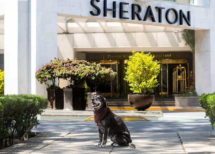 Sheraton Maria Isabel Reforma Hotel
